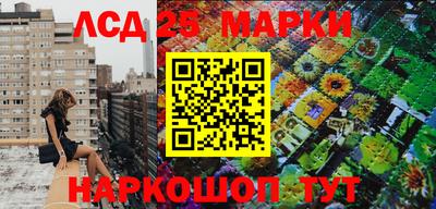амф Бердск