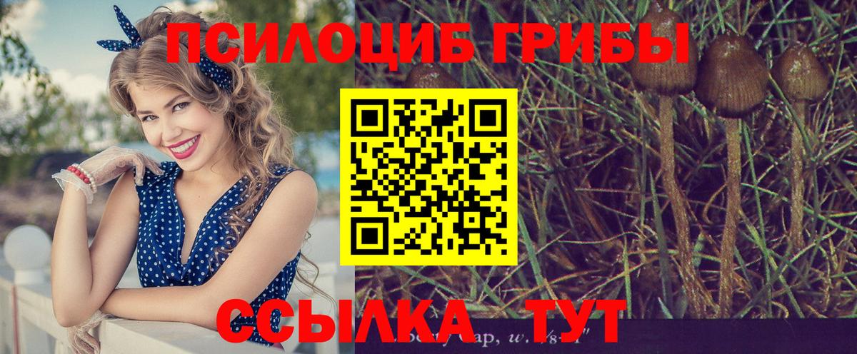 Галлюциногенные грибы мицелий  Вход с VPN  Петропавловск-Камчатский  купить наркоту  Галлюциногенные грибы прущие грибы 